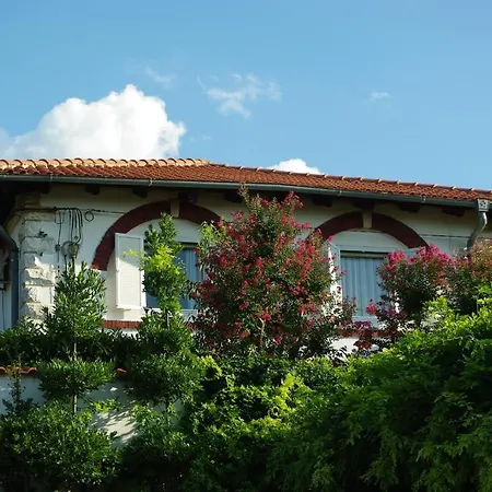 Hotel Sveti Benedikt 3* Novigrad Istria